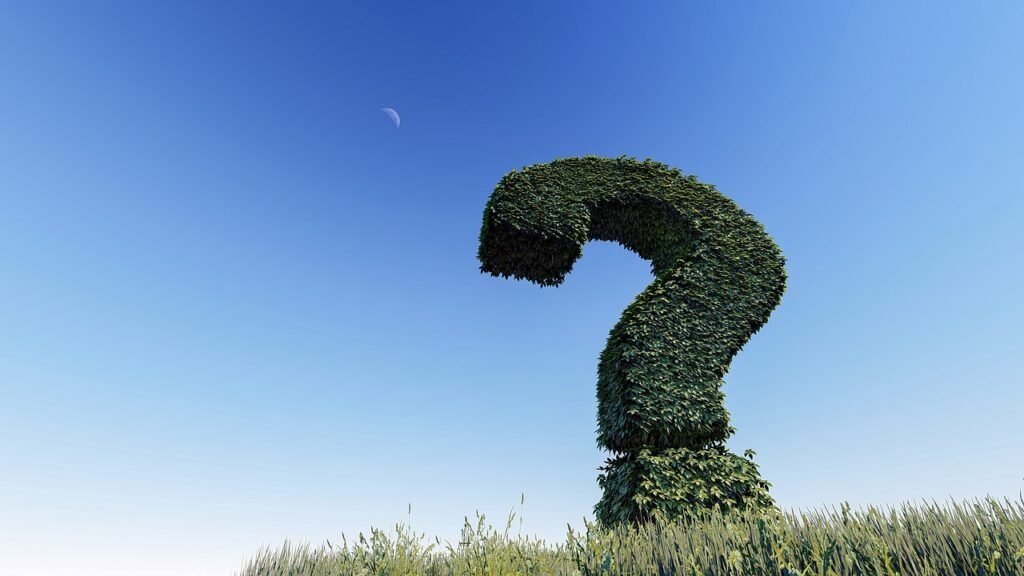 question mark, knowledge, question, sign, symbol, mark, ask, help, problem, answer, information, solution, why, advice, text, 3d, choice, choose, which, direction, leaves, tree, grass, sky, moon, blue tree, blue moon, blue help, nature, blue grass, blue question, night sky, blue leaf, blue information, blue leaves, blue knowledge